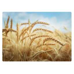 Fields Of Grain Desk Chair Mat, Beige Computer Office Plants Gaming Floor Protector - thumbnail 2