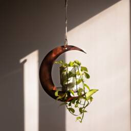 Crescent Moon Shaped Plant Hanger, Handmade, Wooden Hanging Shelf