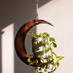 Crescent Moon Shaped Plant Hanger, Handmade, Wooden Hanging Shelf - thumbnail 2