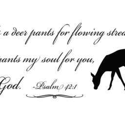 "Vinyl Wall Decal ""As A Deer...psalm 421" - thumbnail 2