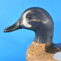 Blue Winged Teal Decoy - thumbnail 4