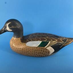 Blue Winged Teal Decoy - thumbnail 3