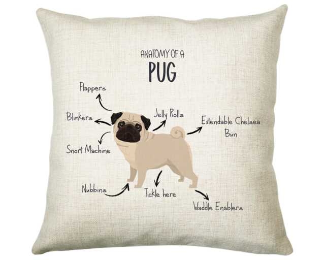 Anatomy Of A Pug Funny Gift For Him Or Her Cushion Pillow Bedroom Decor Cs409 - image 1