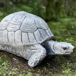 Fantasy Turtle Statue Concrete Sculpture Stone Reptile Figurine Cement Wildlife Ornament Handmade Outdoor Decoration - thumbnail 4