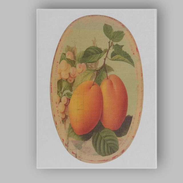 Vintage Mango Botanical Fruit Plate Illustration Canvas Wall Art Print Decor Picture Ready To Hang - image 1