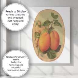 Vintage Mango Botanical Fruit Plate Illustration Canvas Wall Art Print Decor Picture Ready To Hang - thumbnail 3
