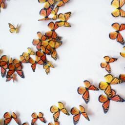 3D Wall Art Realistic Monarch Butterflies - Set Of 100 - thumbnail 2