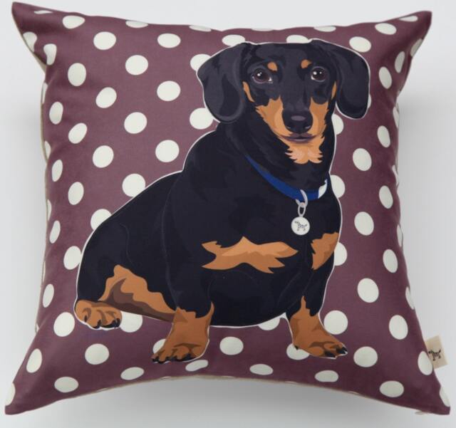 Dachshund Pillow Cover - image 1