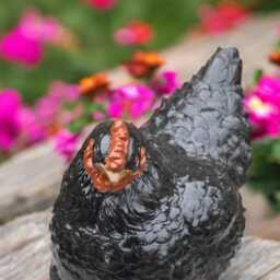 Concrete Chicken Statue Cement Hen Figurine Stone Farm Bird Sculpture Outdoor Garden Ornament Rustic Farmhouse Decor Gift For Lover - thumbnail 2
