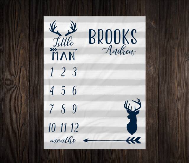 Gender Neutral Milestone Deer Blanket Month Growth Tracker Minky Fleece Baby Shower Gift Girl Boy Arrow - image 1