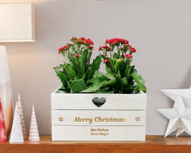 Personalised Engraved Christmas Planter Plant Pot Lined Wooden Heart Unique Xmas For Poinsettia Any Message Nan Nanna Present Gran - image 1