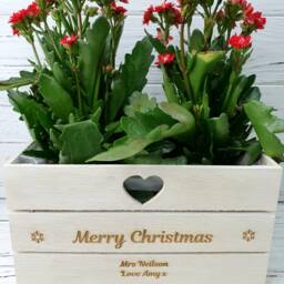 Personalised Engraved Christmas Planter Plant Pot Lined Wooden Heart Unique Xmas For Poinsettia Any Message Nan Nanna Present Gran - thumbnail 3