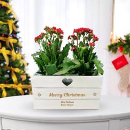 Personalised Engraved Christmas Planter Plant Pot Lined Wooden Heart Unique Xmas For Poinsettia Any Message Nan Nanna Present Gran - thumbnail 2