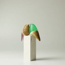 Duo Love Birds - 21 - thumbnail 4