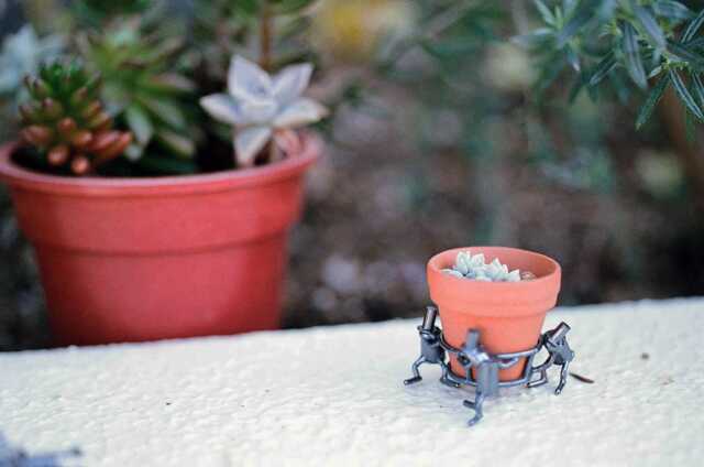 Botanical Life Bronze Succulent Pot Carrier Figurine - image 1
