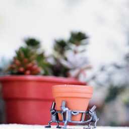 Botanical Life Bronze Succulent Pot Carrier Figurine - thumbnail 2