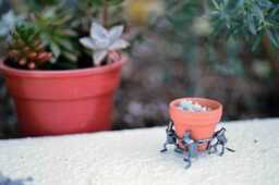Botanical Life Bronze Succulent Pot Carrier Figurine