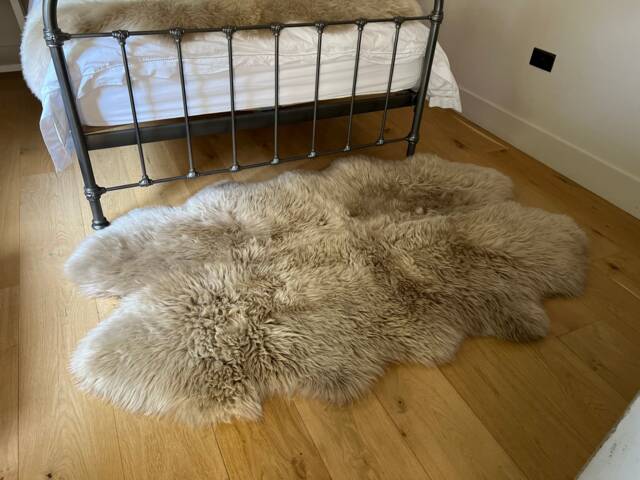Oversized Snuggly Sheepskin Rug in Oyster - image 1