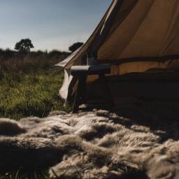 Oversized Snuggly Sheepskin Rug in Oyster - thumbnail 2