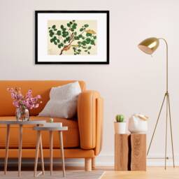 Framed Mounted Indian Jujube Tree Art Vintage Print Poster Antique Sheikh Zain Al-Din Painting Nature Birds Butterflies Georgian Victorian - thumbnail 1