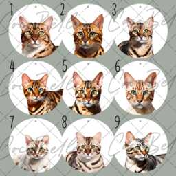 Personalised Bengal Bauble, Any Colour Digital Illustration Real Glitter Tabby Grey Cat Name Christmas Mum Gift Ideas Lover Owner - thumbnail 2