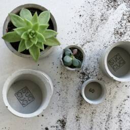 Minimalist Round Concrete Planter - Succulent & Cactus Pot - thumbnail 2