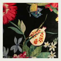 Jane Churchill Ipanema Black Velvet Tropical Floral Cushion Cover - thumbnail 3
