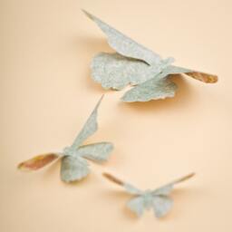 3D Butterfly Wall Art Aqua Damask Paper Butterflies For Decor, Nursery, Children's Room - thumbnail 2