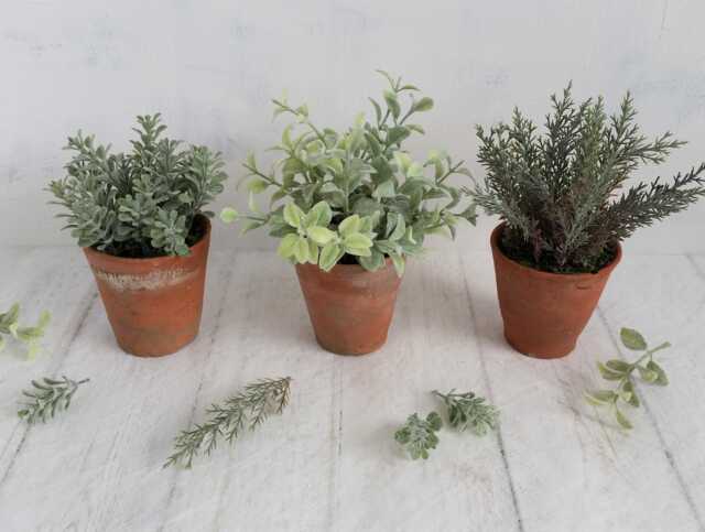 Set Of 3 Faux Green Plants in Hand Thrown Vintage Terracotta Pots Artificial Sage, Grey Indoor Plant Trio - image 1