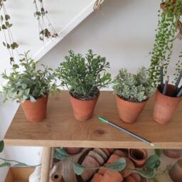 Set Of 3 Faux Green Plants in Hand Thrown Vintage Terracotta Pots Artificial Sage, Grey Indoor Plant Trio - thumbnail 2