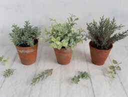 Set Of 3 Faux Green Plants in Hand Thrown Vintage Terracotta Pots Artificial Sage, Grey Indoor Plant Trio - thumbnail 1