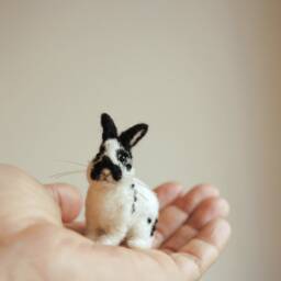 Needle Felted Rabbit, Lifelike Felt Rabbit Miniature Will Be Made From Your Photos - Dutch Or Any Other Breed - thumbnail 3