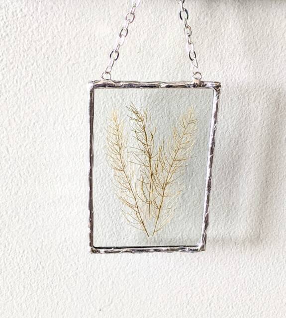 Green Fern Wall Art, Framed Dried Pressed Flowers, Glass Hanging, Flower Soldered Art - image 1