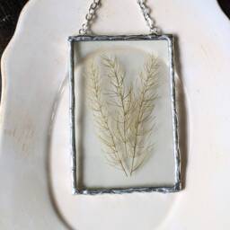 Green Fern Wall Art, Framed Dried Pressed Flowers, Glass Hanging, Flower Soldered Art - thumbnail 3