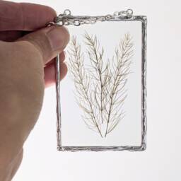 Green Fern Wall Art, Framed Dried Pressed Flowers, Glass Hanging, Flower Soldered Art - thumbnail 2
