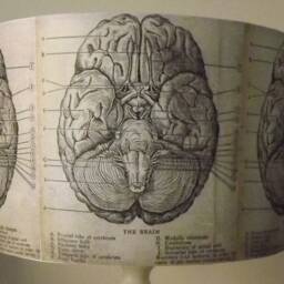 Brain Lampshade, Light Shade, Vintage, Gothic, Steampunk, Free Gift - thumbnail 2