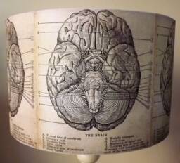 Brain Lampshade, Light Shade, Vintage, Gothic, Steampunk, Free Gift - thumbnail 1