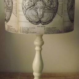 Brain Lampshade, Light Shade, Vintage, Gothic, Steampunk, Free Gift - thumbnail 3