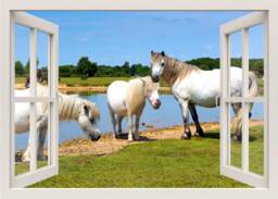Horses Wall Decal, 3D Window Frame, View Mural, Animals Bedroom Living Room Home Decor