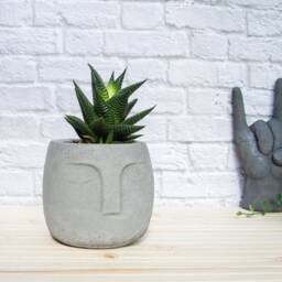 Moai Style Concrete Plant Pot With 3D Face Design - thumbnail 3