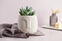 Moai Style Concrete Plant Pot With 3D Face Design
