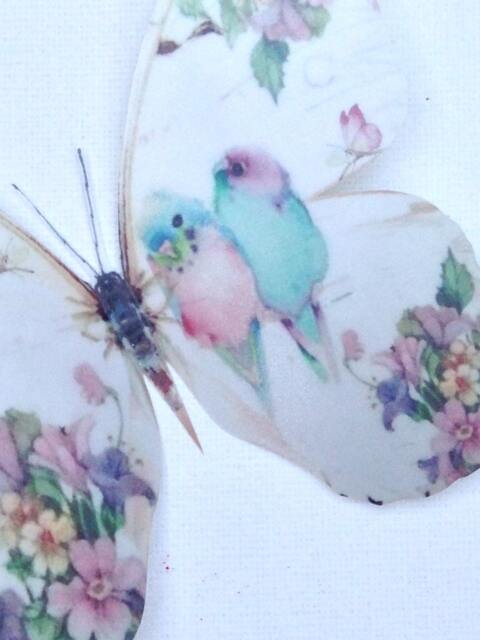 4 Shabby Chic Pastel Budgies in Trailing Flowers 3D Wall Stickers Birds & Butterflies - image 1
