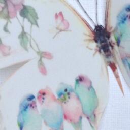 4 Shabby Chic Pastel Budgies in Trailing Flowers 3D Wall Stickers Birds & Butterflies - thumbnail 2