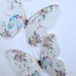 4 Shabby Chic Pastel Budgies in Trailing Flowers 3D Wall Stickers Birds & Butterflies - thumbnail 3