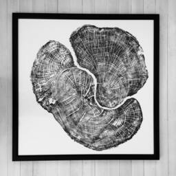Pennsylvania Art, Sugar Maple, Wilderness Huge Wall Art - thumbnail 3