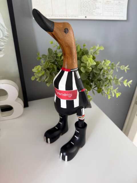 Grimsby Town Fc - Hand-Painted Wooden Duck - 2025-2026 Design Approx. 25cm - image 1
