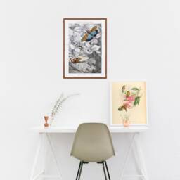 Antique Insect Canvas Print, Bugs, Bees, Butterflies, Kids Room - Rolled - thumbnail 3