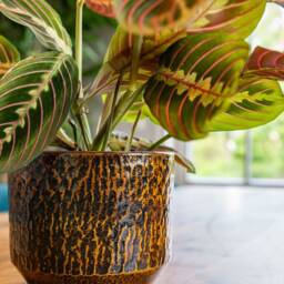 Handmade Ceramic Plant Pot Savanna Brown Retro Style, Multiple Sizes, D15cm-D33cm - thumbnail 3