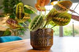 Handmade Ceramic Plant Pot Savanna Brown Retro Style, Multiple Sizes, D15cm-D33cm - thumbnail 1