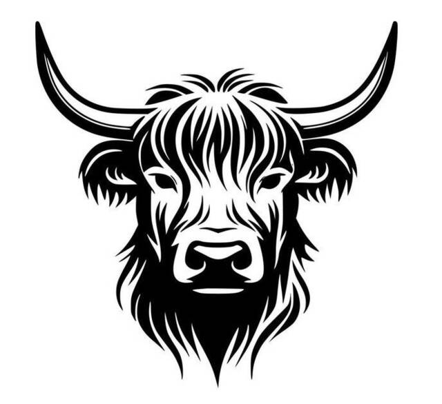 Scottish Highlands Highland Cow Bull Wall Art Decal Car Van Bonnet Vinyl Side Sticker Hood Graphic Window Sign Motorhome Campervan